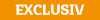 flagge_web_exclusiv